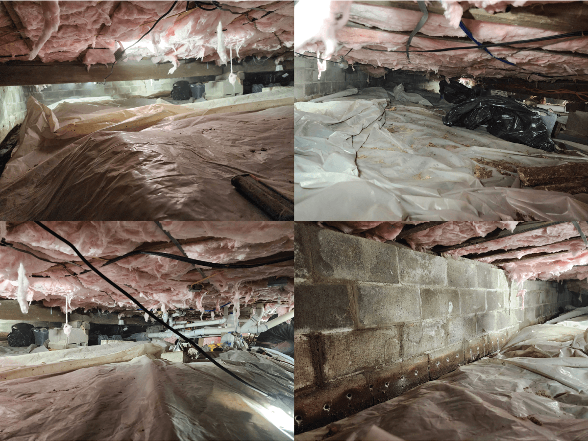 Crawl space before encapsulation: sagging pink fiberglass insulation, dirt floor, debris and moisture damage