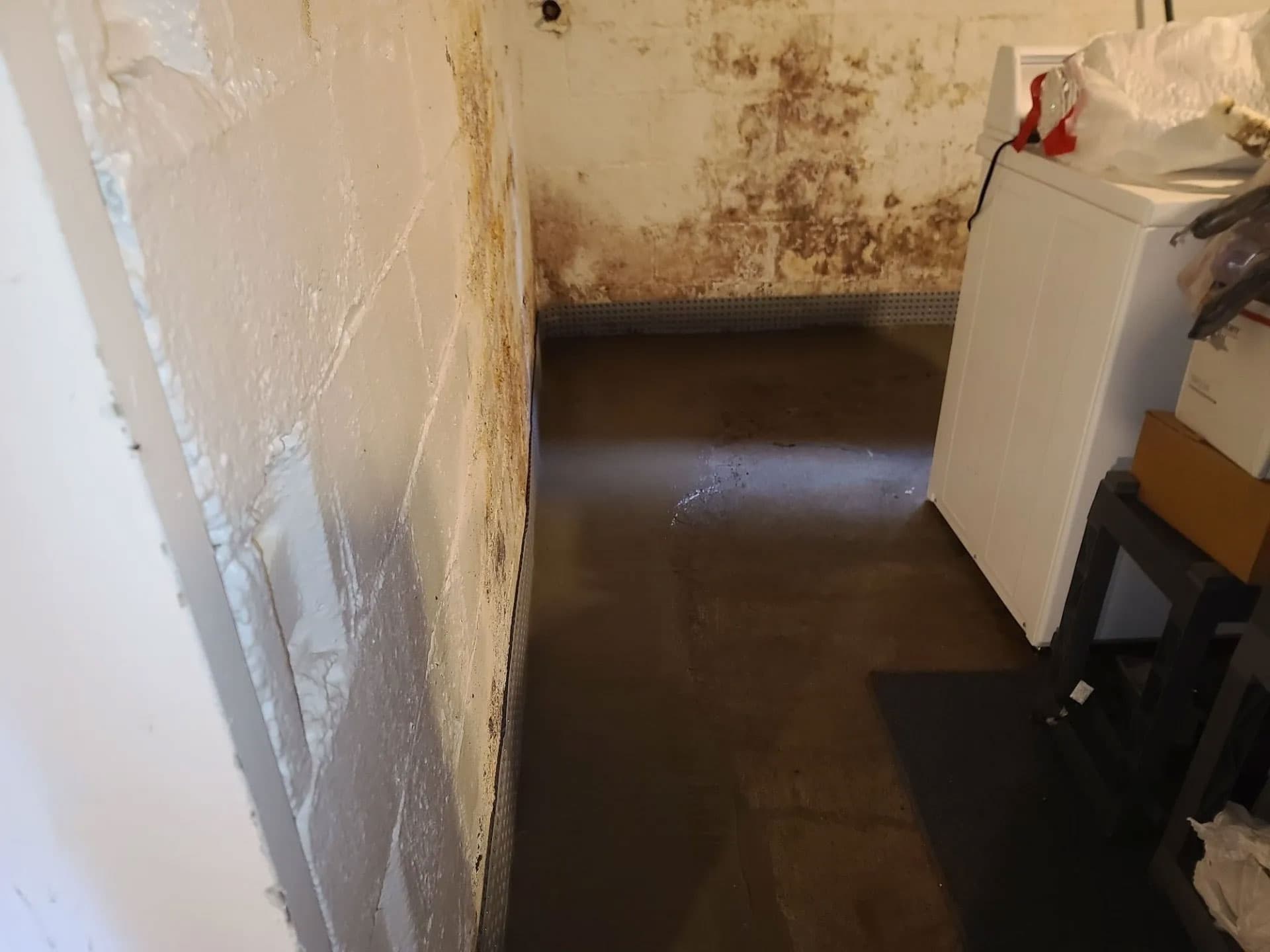 Before-and-after view of a basement wall: mold and moisture damage on the left, clean encapsulated wall on the right