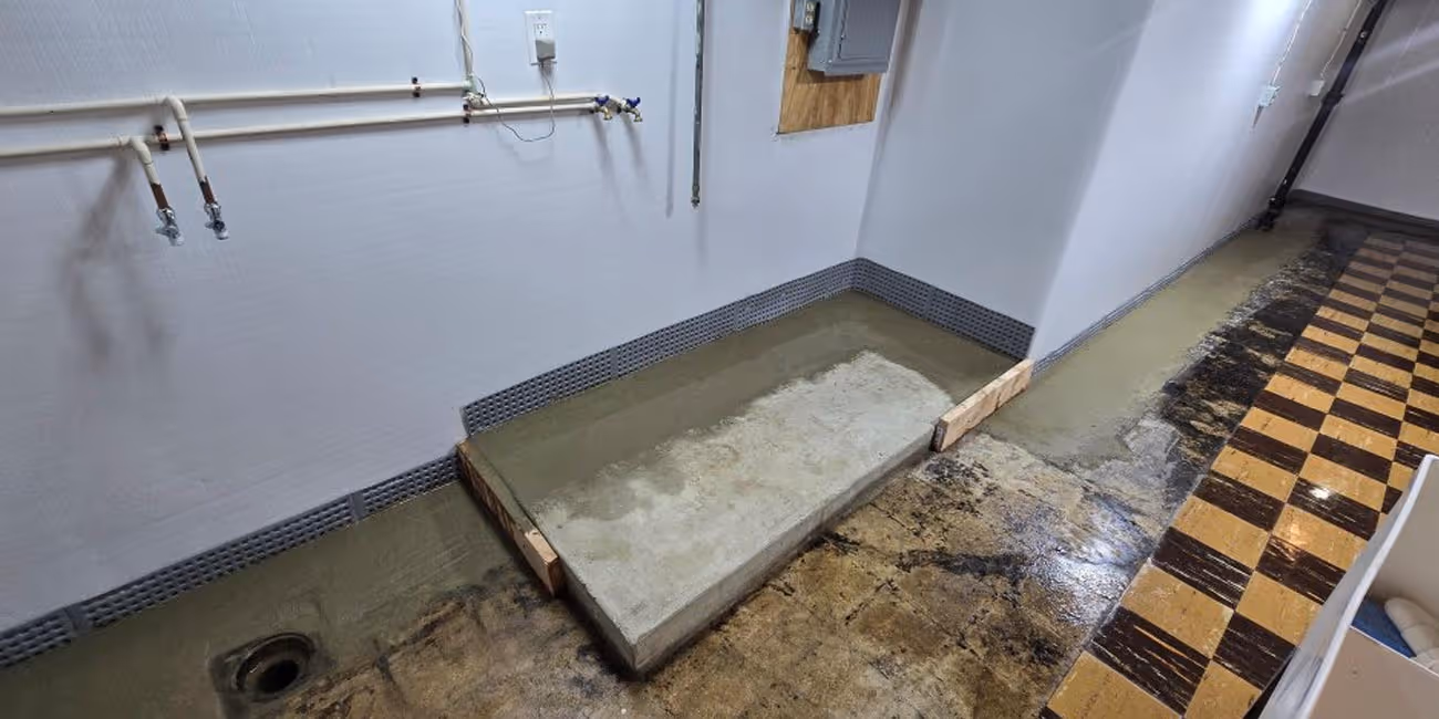 Waterproofing system and dehumidifier in basement